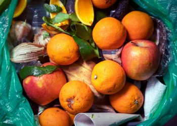 Consumers and countries with more money waste more food
