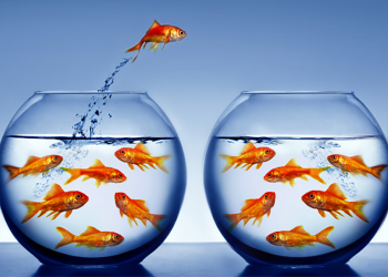 The Talent Challenges Facing Companies Across All Markets · BioBuzz