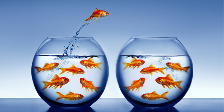 The Talent Challenges Facing Companies Across All Markets · BioBuzz