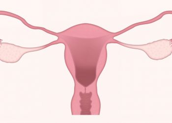 Living Near Green Areas May Delay Menopause in Women, Says Study