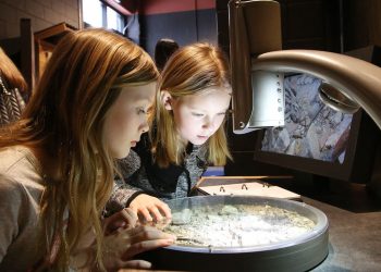 Dynamic Earth visitors urged to discover what lies beneath at Under the Arctic: Digging into Permafrost exhibition