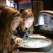 Dynamic Earth visitors urged to discover what lies beneath at Under the Arctic: Digging into Permafrost exhibition