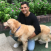 Ayurveda for pets? This startup is winning India’s $347M petcare market with its organic products