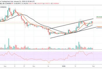 The Bearish Momentum Is Strong as XLM/USD May Fall Heavily