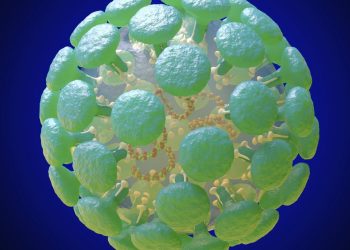Trump’s fund-slashing prevents the CDC from fighting outbreaks like coronavirus