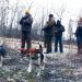 Dog gone fun: Beagle club raises funds for St. Jude | News, Sports, Jobs