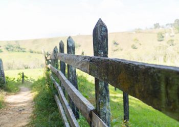 Where rural and urban Americans divide on the environment—and where there’s common ground