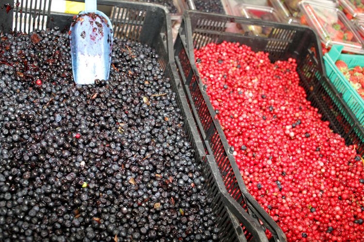 WSU scientists team up for $12.8 million effort to improve blueberries, cranberries | WSU Insider