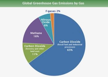 How Procurement Can Impact Global Warming