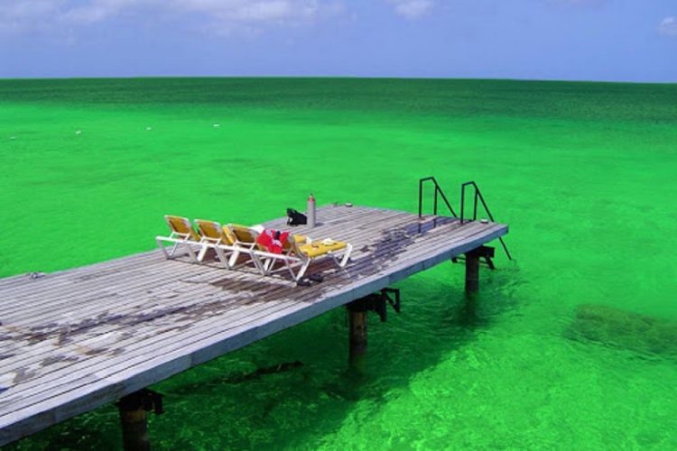 Crypto Price Analysis Feb. 07: XTZ, ETC, XMR, LINK, LTC – Coinfomania