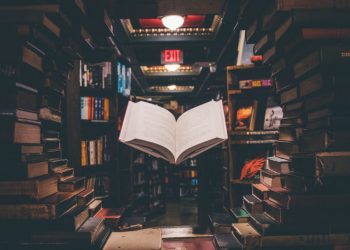 Udemy vs. Coursera • Benzinga • Which Course Provider is the Best?