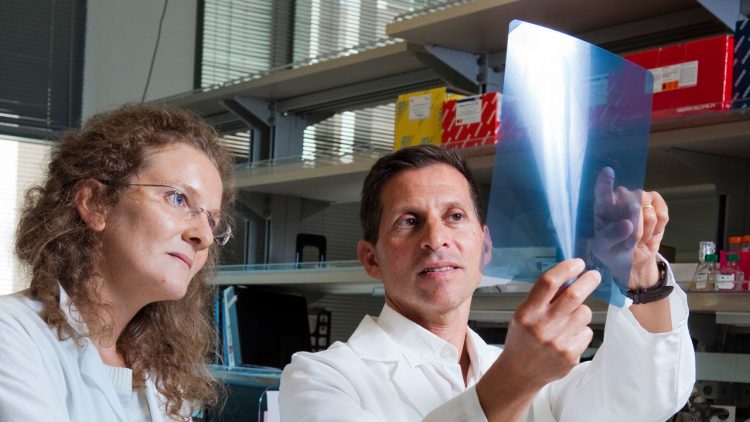 Major cancer institute sued by its own researchers over ‘tapering’ funding | Science