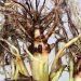 Illinois crop pathologists and entomologists publish 2019 field research results