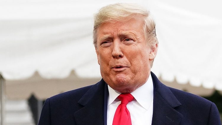 Trump is flooding the swamp that Obama drained