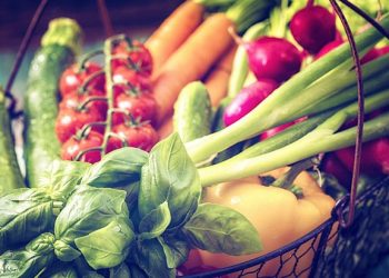 40 percent of food in America ends up in the trash. Is nanopackaging the answer?