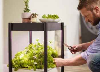 Scotts Miracle-Gro Could Turn Over a New Leaf with Urban Gardening Supplies
