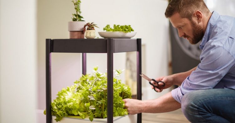 Scotts Miracle-Gro Could Turn Over a New Leaf with Urban Gardening Supplies