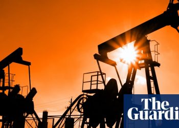 LGIM to launch its first fossil fuel-free pension fund after pressure | Business