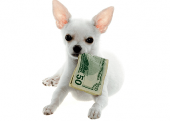 93 Monthly Pay Dividend Dogs And 80 Top Yield Funds For March
