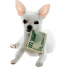 93 Monthly Pay Dividend Dogs And 80 Top Yield Funds For March