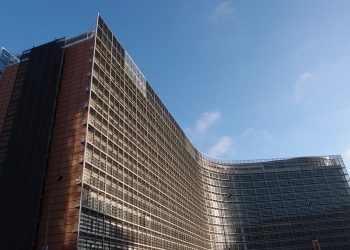 The EU’s White Paper on AI: A Thoughtful and Balanced Way Forward