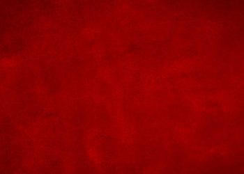 Conservative Newswork: A Report on the Values and Practices of Online Journalists on the Right
