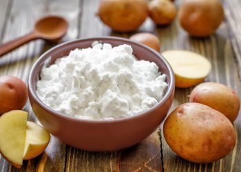 Delving Into The Global Starch Market