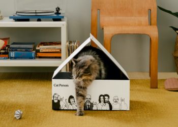 Backed by Harry’s Labs, Cat Person launches its lineup of cat care products – TechCrunch