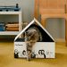 Backed by Harry’s Labs, Cat Person launches its lineup of cat care products – TechCrunch