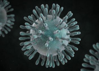 High temperature, humidity reduce coronavirus transmission: Study