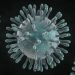 High temperature, humidity reduce coronavirus transmission: Study