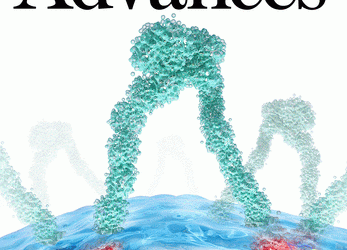 Polycomb regulation is coupled to cell cycle transition in pluripotent stem cells
