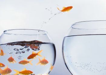 How to Achieve Resilient Growth Throughout the Business Cycle