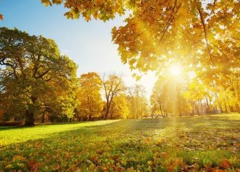 Higher-than-normal temperatures that cut down the spread of COVID-19 are imminent
