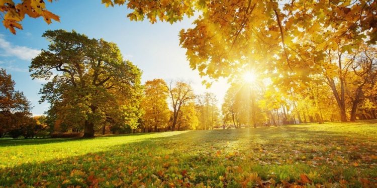 Higher-than-normal temperatures that cut down the spread of COVID-19 are imminent