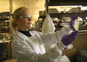 Research Labs Ready to Search for Coronavirus Cure, But Lack Funds – NBC Bay Area
