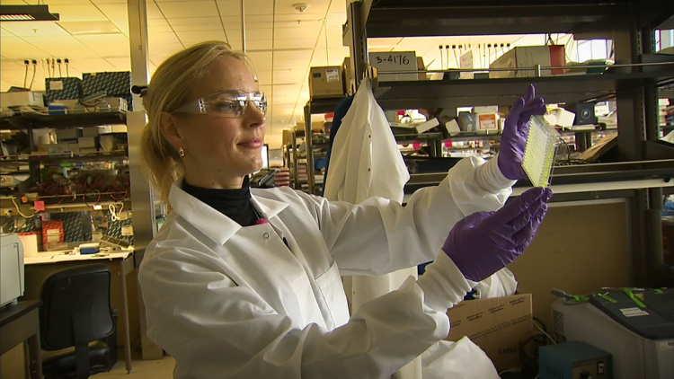 Research Labs Ready to Search for Coronavirus Cure, But Lack Funds – NBC Bay Area