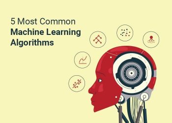 5 Most Common Machine Learning Algorithms