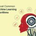 5 Most Common Machine Learning Algorithms