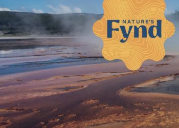 Food Tech Company Nature’s Fynd Secures $80 Million In Funding