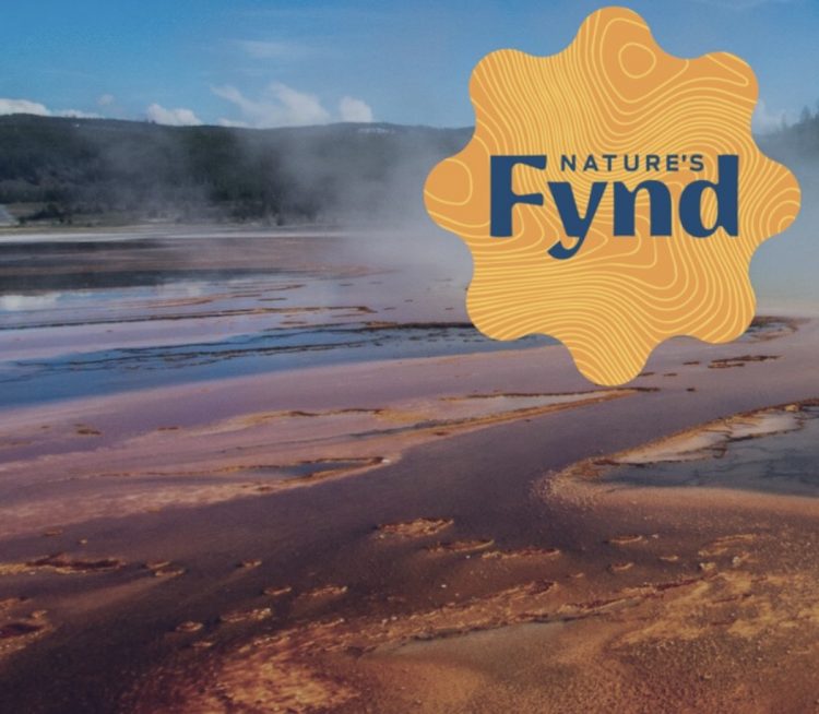 Food Tech Company Nature’s Fynd Secures $80 Million In Funding