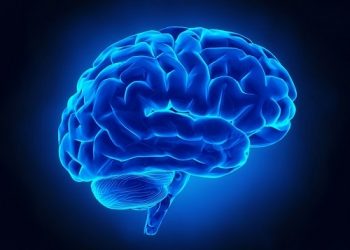 Foundation holds brain awareness sensitisation