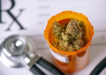Medical Marijuana Investors: The Floodgates Are Opening