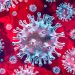 Consumers likely to cut back on restaurants in a coronavirus pandemic
