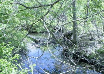 Factors that influence nutrient loss – Ohio Ag Net