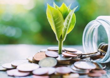 Investing: Why Stanlib is raking in the money