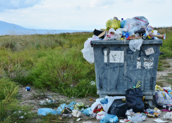 Mintel And The Freedonia Group Report On Trend of Sustainability Foodservice Packaging