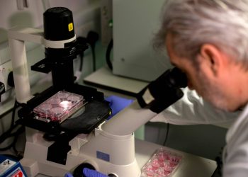 Vaccine affordability a last sticking point in coronavirus funding package talks in Congress – Q13 FOX News
