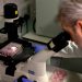 Vaccine affordability a last sticking point in coronavirus funding package talks in Congress – Q13 FOX News