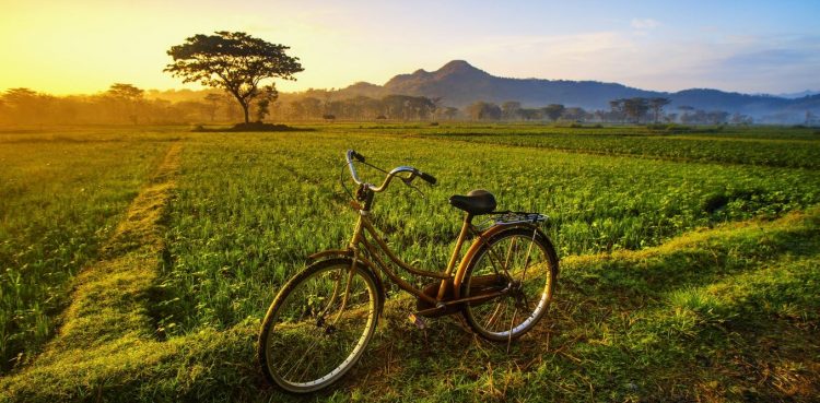 Improving access to cycling can benefit women in marginalized neighborhoods